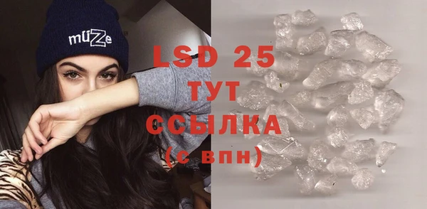 ECSTASY Белокуриха