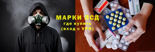 прущие грибы Лихославль