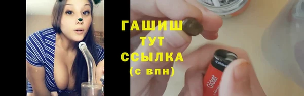 сатива Беломорск