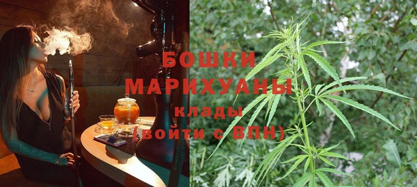 ECSTASY Белокуриха