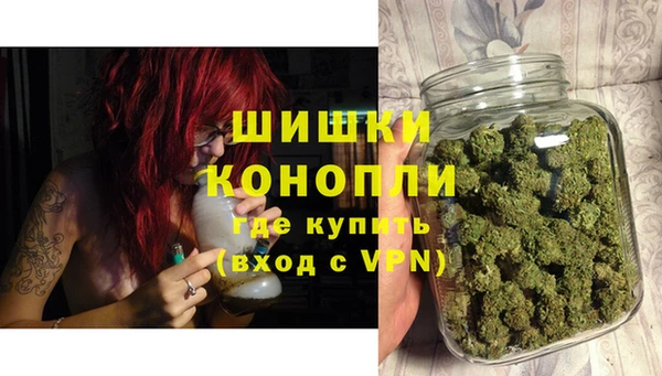 ECSTASY Белокуриха
