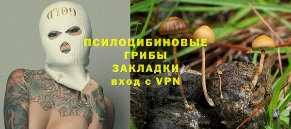 сатива Беломорск