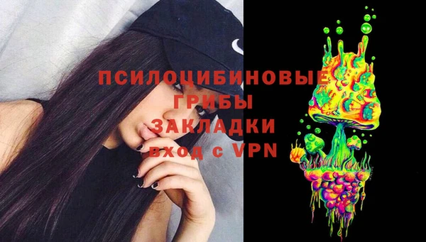 сатива Беломорск