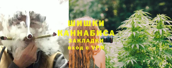 сатива Беломорск
