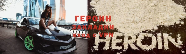 сатива Беломорск