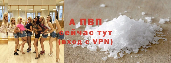 сатива Беломорск