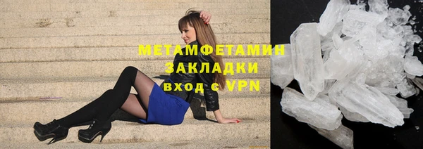 сатива Беломорск