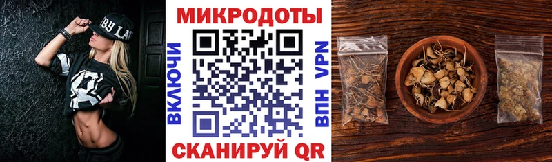 Псилоцибиновые грибы Psilocybe Вязники
